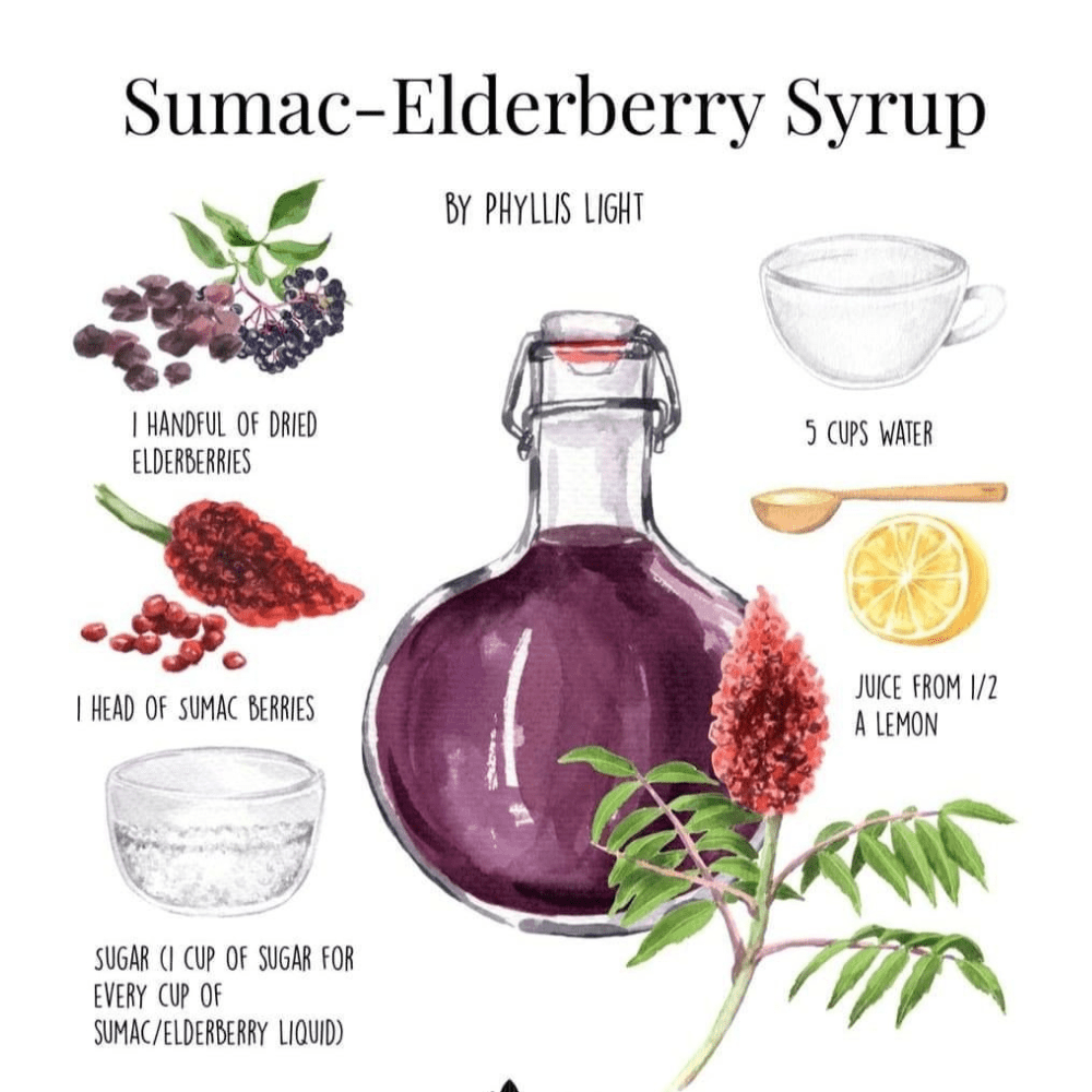 The Ultimate Simple Elderberry Syrup Recipe in 5 step
