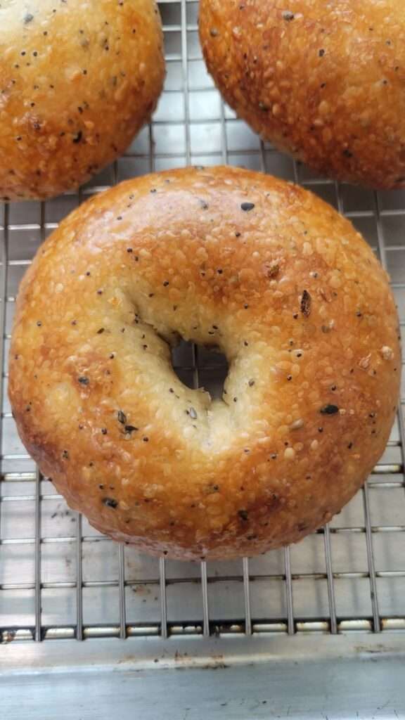 Perfect Bagel Recipe You’ll Bake Again and Again